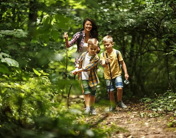 Excursions als voltants i per la Catalunya Nord