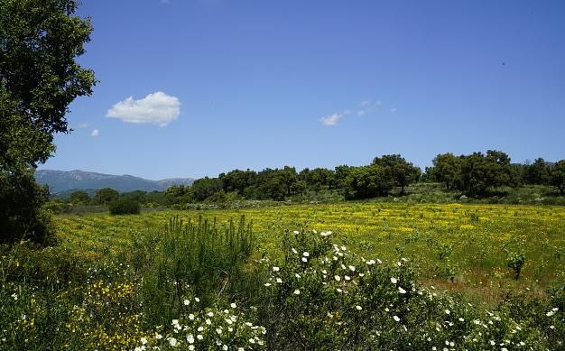 Explora Maçanet de Cabrenys